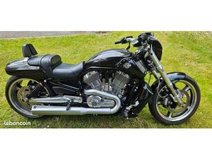 HARLEY VROD BI-TON