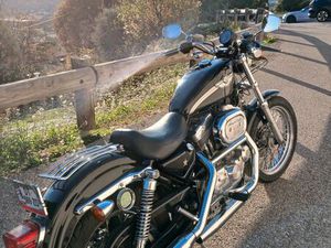 VENTE HARLY 883