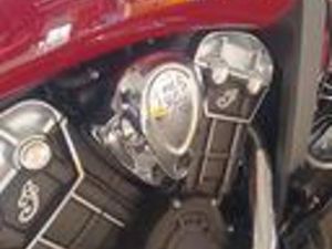 INDIAN SCOUT 101 - 2016