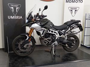 TIGER RALLY PRO 2024. CV108