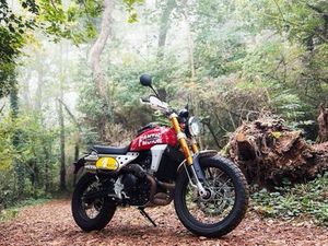 FANTIC CABALLERO 500 SCRAMBLER - NOMBREUSES OPTIONS