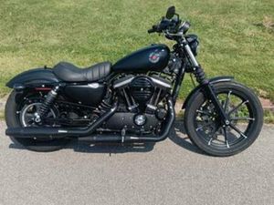 HARLEY DAVIDSON XL 883N SPORTSTER IRON 2019 XL883N XL 883 N — MOTOREN | HARLEY-DAVIDSON — MARKTPLAATS