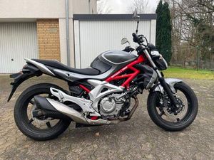 SUZUKI GLAGDIUS SFV 650 TIEFER GELEGT
