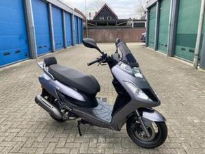 ZEER MOOIE ORIGINELE KYMCO NEW DINK 125 CC MOTORSCOOTER ! — SCOOTERS | KYMCO — MARKTPLAATS