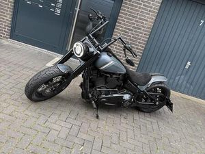 HARLEY DAVIDSON SOFTAIL DELUXE UMBAU FAT BOY 2019