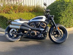 ECOSSE SPORTSTER 1250 S 2021