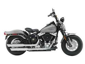 2009 HARLEY-DAVIDSON SOFTAIL® CROSS BONES™