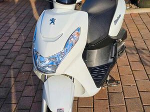 VERKAUFE PEUGEOT KISBEE 50CM 45KM/H