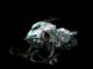 RE 3900 850 E-TEC TURBO R *HUB*