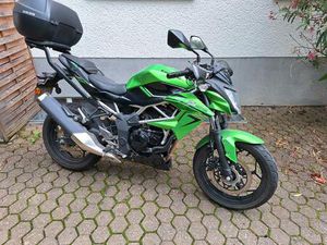 KAWASAKI Z 125 GRÜN NINJA