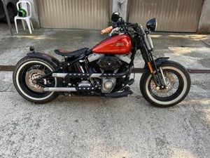 HARLEY DAVIDSON CROSS BONES