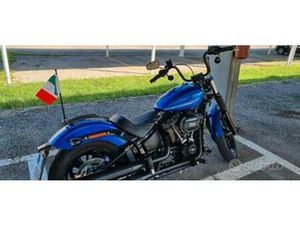 HARLEY-DAVIDSON SOFTAIL STREET BOB - 2024