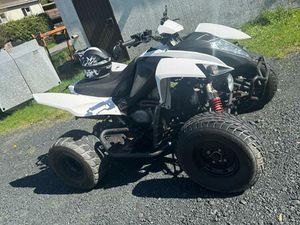 QUAD ADLY BEELINE BESTIE 5.5