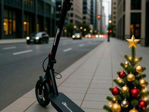 E ROLLER MIT STRAßENZULASSUNG