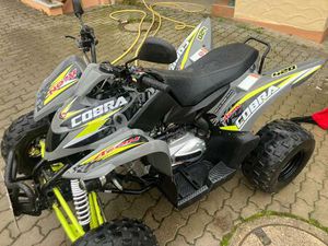 GEPFLEGTES AEON COBRA 420 SX LOF – TOP ZUSTAND – TÜV BIS 10/2027