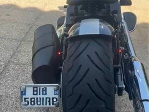 BOBBER SOFTAIL DELUXE