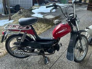 PONY GTX CANTON BERNE -