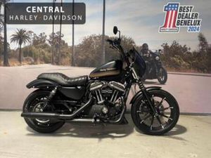 HARLEY-DAVIDSON IRON 883 — MOTOREN | HARLEY-DAVIDSON — MARKTPLAATS