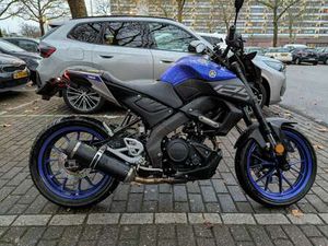YAMAHA MT-125 ABS, ARROW CARBONFIBER UITLAAT, PUIG HOUDER, RAM BLAUW
