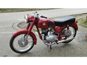 TÖRÖK EXPORT AKCIÓ!