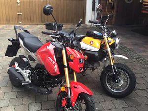 HONDA MONKEY 125 —MSX 125