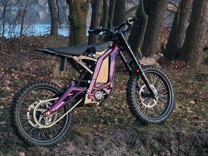 SURRON LIGHT BEE L1E – 72V-TC500-TORP TM25