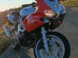 SUZUKI SV 650 S SCHEUNENPFUND DRINGEND ABZUGEBEN