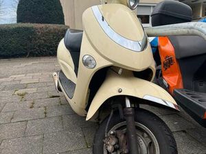 TAURIS BRISA ROLLER IN BEIGE - GEPFLEGT UND FAHRBEREIT