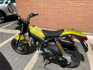SUZUKI 50 STREET MAGIC