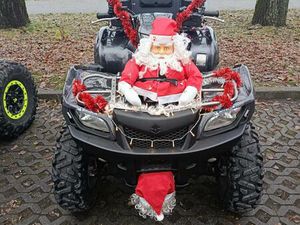 SUZUKI KINGQUAD