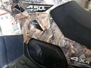 QUAD DL 450 GEBRAUCHT