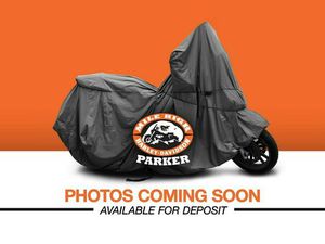 2003 HARLEY-DAVIDSON® FLSTFI - FAT BOY® INJECTION