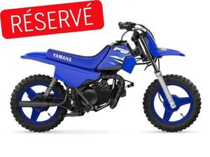 2025 YAMAHA PW50