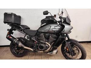 VENDO HARLEY-DAVIDSON PAN AMERICA 1250 SPECIAL (2020 - 25) USATA A CASTIGLIONE FALLETTO (CODICE 9896859) - MOTO.IT