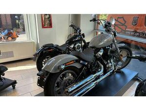 VENDO HARLEY-DAVIDSON SOFTAIL STANDARD (2021 - 25) USATA A TORINO (CODICE 9900956) - MOTO.IT