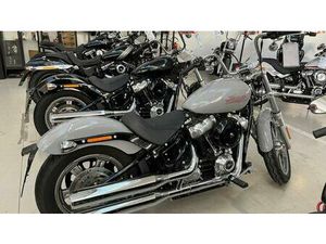 VENDO HARLEY-DAVIDSON SOFTAIL STANDARD (2021 - 25) USATA A TORINO (CODICE 9900978) - MOTO.IT