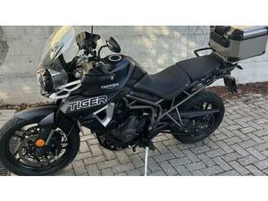 VENDO TRIUMPH TIGER 800 XRX (2018 - 20) USATA A CUNEO (CODICE 9899737) - MOTO.IT