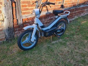 PIAGGIO GRILLO (CIAO, BRAVO, SI...)