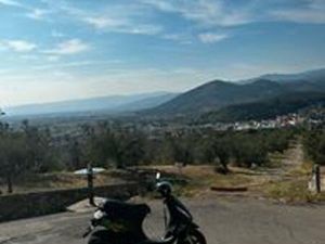 PIAGGIO ZIP 80 4T 3V E5 - 2024