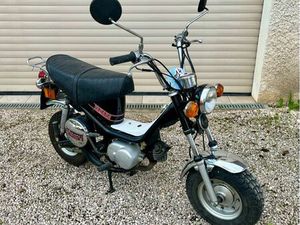 YAMAHA CHAPPY 13F 1983