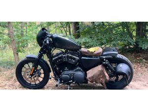 HARLEY DAVIDSON 883 IRON XL WIE NEU CULT-WERK UMBAU TAUSCH SL 350