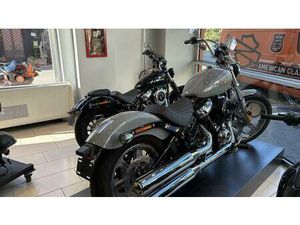 VENDO HARLEY-DAVIDSON SOFTAIL STANDARD (2021 - 25) USATA A TORINO (CODICE 9901403) - MOTO.IT