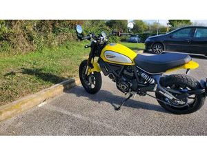 VENDO DUCATI SCRAMBLER 800 ICON (2017 - 20) USATA A SOIANO DEL LAGO (CODICE 9896882) - MOTO.IT