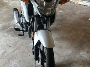 HONDA CB125F 2022 GULPILHARES E VALADARES