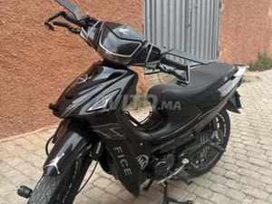 SANYA FICE C50