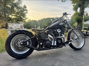 2004 SOFTAIL® NIGHT TRAIN®