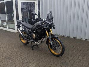 VOGE DS800X RALLY, NEU