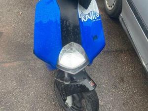 WINTERANGEBOT ROLLER EXPLORER KALLIO 50 NEW EDITION