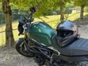 BENELLI LEONCINO 800