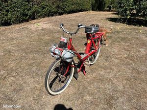SOLEX 3800S